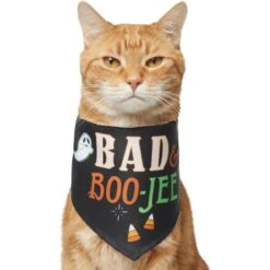 Frisco Bad & Boo-Jee Dog & Cat Costume Bandana -Chic Pet Supplies 334807 PT2. AC SS1800 V1659034006