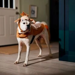 Frisco Deer Dog & Cat Costume 12 Frisco Deer Dog & Cat Costume -Chic Pet Supplies 334874 PT7. AC SS1800 V1657720507