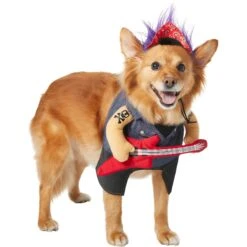 Frisco Front Walking Punk Rocker Dog & Cat Costume 11 Frisco Front Walking Punk Rocker Dog & Cat Costume -Chic Pet Supplies 335087 PT3. AC SS1800 V1658346323
