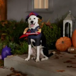 Frisco Front Walking Punk Rocker Dog & Cat Costume 14 Frisco Front Walking Punk Rocker Dog & Cat Costume -Chic Pet Supplies 335087 PT7. AC SS1800 V1657732627