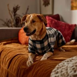 Frisco Plaid Dog & Cat Fleece Pajamas 10 Frisco Plaid Dog & Cat Fleece Pajamas -Chic Pet Supplies 353755 PT6. AC SS1800 V1660749967