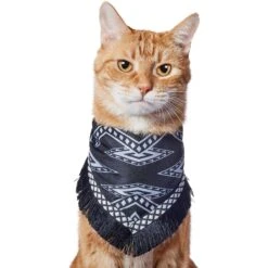 Frisco Southwest Fringe Dog & Cat Bandana