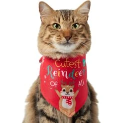 Chic Pet Supplies 7 Frisco Cutest Reindeer Of All Dog & Cat Bandana