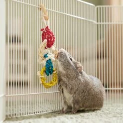 Frisco Spotted Cornleaf Twist Ring Small Pet Toy 5 Frisco Spotted Cornleaf Twist Ring Small Pet Toy -Chic Pet Supplies 536942 PT3. AC SS1800 V1668902494