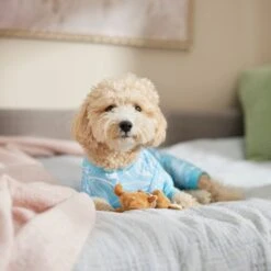 Frisco Blue Ocean Waves Dog & Cat Jersey PJs 10 Frisco Blue Ocean Waves Dog & Cat Jersey PJs -Chic Pet Supplies 556142 PT5. AC SS1800 V1674828705