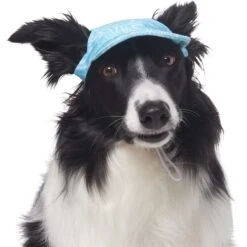 Frisco Blue Ocean Waves 30 + UPF Dog & Cat Beach Cap -Chic Pet Supplies 556182 PT3. AC SS1800 V1677530963