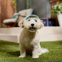 Frisco Blue Ocean Waves 30 + UPF Dog & Cat Beach Cap -Chic Pet Supplies 556182 PT5. AC SS1800 V1675714092