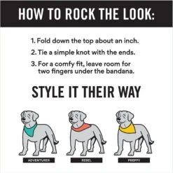 Frisco Gingerbread Treats Personalized Dog & Cat Bandana -Chic Pet Supplies 564502 PT2. AC SS1800 V1660250859