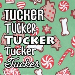 Frisco Gingerbread Treats Personalized Dog & Cat Bandana -Chic Pet Supplies 564502 PT4. AC SS1800 V1660250970