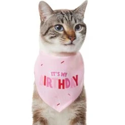 Frisco Dog & Cat Birthday Bandana -Chic Pet Supplies 608206 PT2. AC SS1800 V1676644511