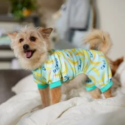 Frisco Go Bananas Dog & Cat Jersey PJs -Chic Pet Supplies 608998 PT6. AC SS1800 V1676642341
