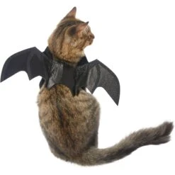 Frisco Bat Wings Dog & Cat Costume & Buckle-Down Batman Shield Polyester Dog Collar -Chic Pet Supplies 638566 PT2. AC SS1800 V1663254513