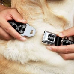 Frisco Bat Wings Dog & Cat Costume & Buckle-Down Batman Shield Polyester Dog Collar -Chic Pet Supplies 638566 PT6. AC SS1800 V1663254111