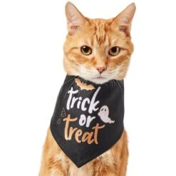 Chic Pet Supplies 37 Frisco Trick Or Treat Dog & Cat Bandana