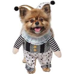 Frisco Front Walking Glitter Clown Dog & Cat Costume -Chic Pet Supplies 707542 PT2. AC SS1800 V1689351699
