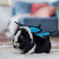 Frisco Small Pet Butterfly Wings -Chic Pet Supplies 714406 PT7. AC SS1800 V1688584657