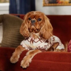 Frisco Fairisle Cozy Plush Fleece Dog & Cat PJs, Cream -Chic Pet Supplies 719006 PT7. AC SS1800 V1692376367