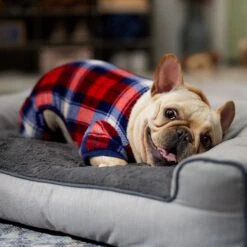 Frisco Cozy Plush Fleece Dog & Cat PJs, Plaid -Chic Pet Supplies 719102 PT7. AC SS1800 V1692378973