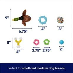 Frisco Forest Friends Plush, Rope & TPR Variety Pack Dog Toy -Chic Pet Supplies 843534 PT2. AC SS1800 V1693411070