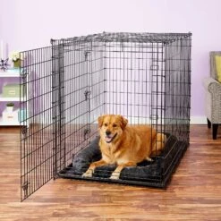 Frisco Heavy Duty Enhanced Lock Double Door Fold & Carry Wire Dog Crate & Mat Kit & MidWest Quiet Time Fleece Dog Crate Mat -Chic Pet Supplies 947398 PT8. AC SS1800 V1693920163