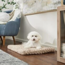 Frisco Double Door Furniture Style Dog Crate, Black & Frisco Swirl Dog Crate Mat -Chic Pet Supplies 947710 PT5. AC SS1800 V1693921603