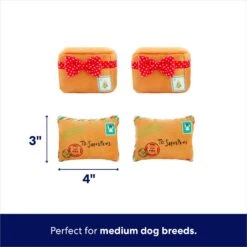 Frisco Holiday House Hide & Seek Puzzle Plush Squeaky Dog Toy & Frisco Holiday North Pole Mailbox Hide & Seek Puzzle Plush Squeaky Dog Toy -Chic Pet Supplies 986286 PT7. AC SS1800 V1698258056